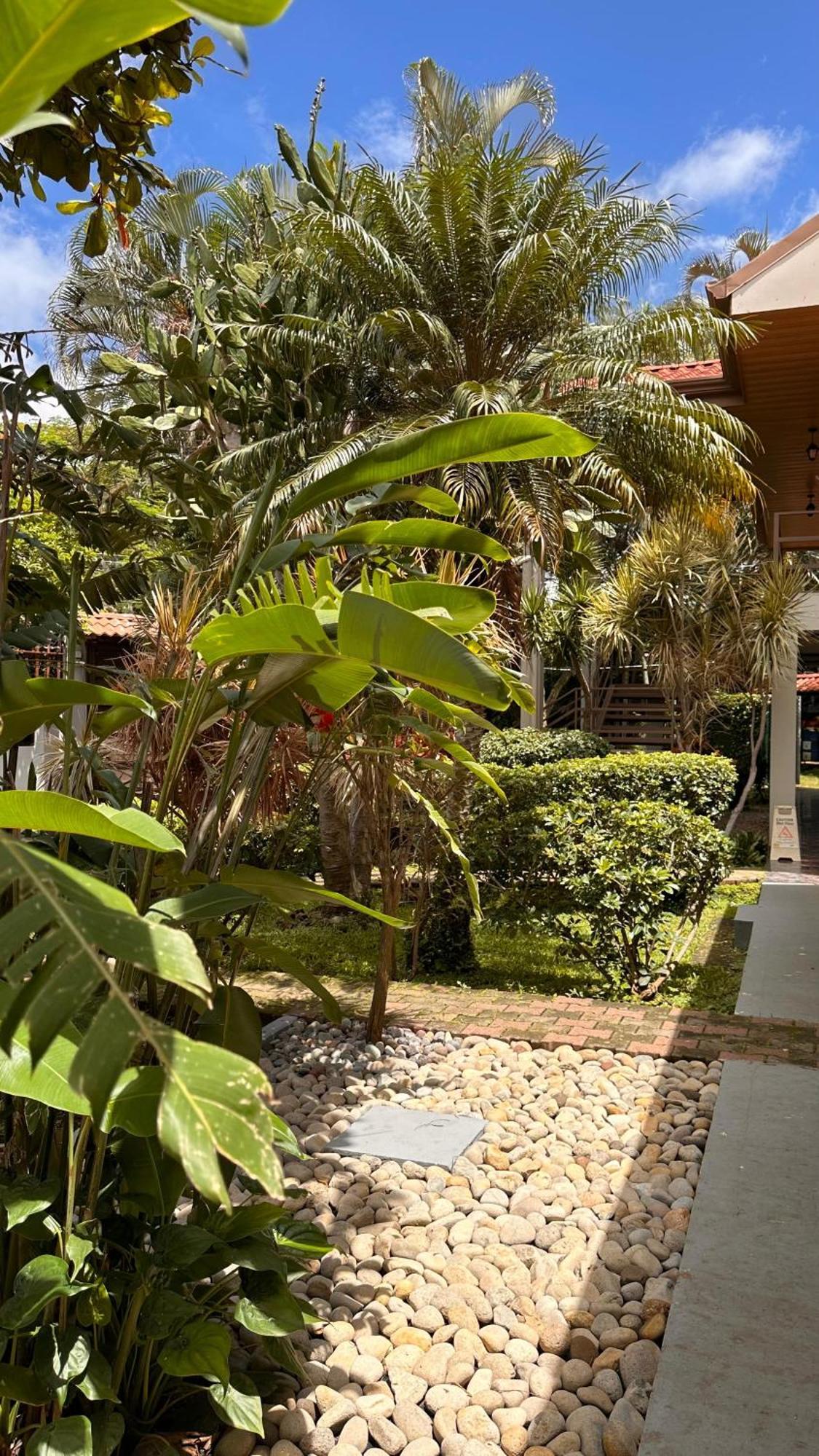 Brillasol Airport Hotel Las Ciruelas  Kültér fotó